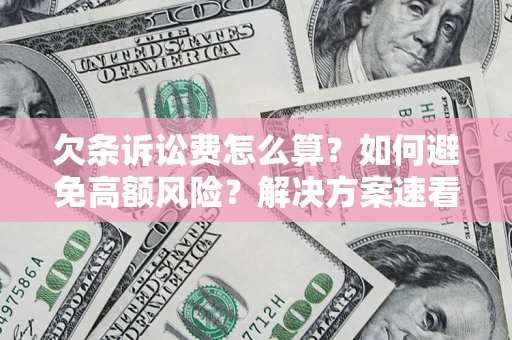 北京欠条诉讼费怎么算？如何避免高额风险？解决方案速看！