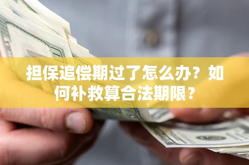 北京担保追偿期过了怎么办？如何补救算合法期限？