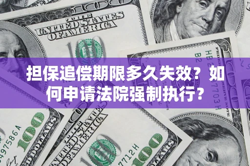 北京担保追偿期限多久失效？如何申请法院强制执行？